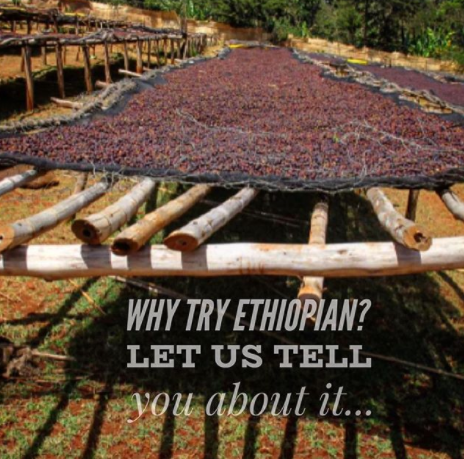 What is an Ethiopian Coffee Like? And Why You Should Try It...