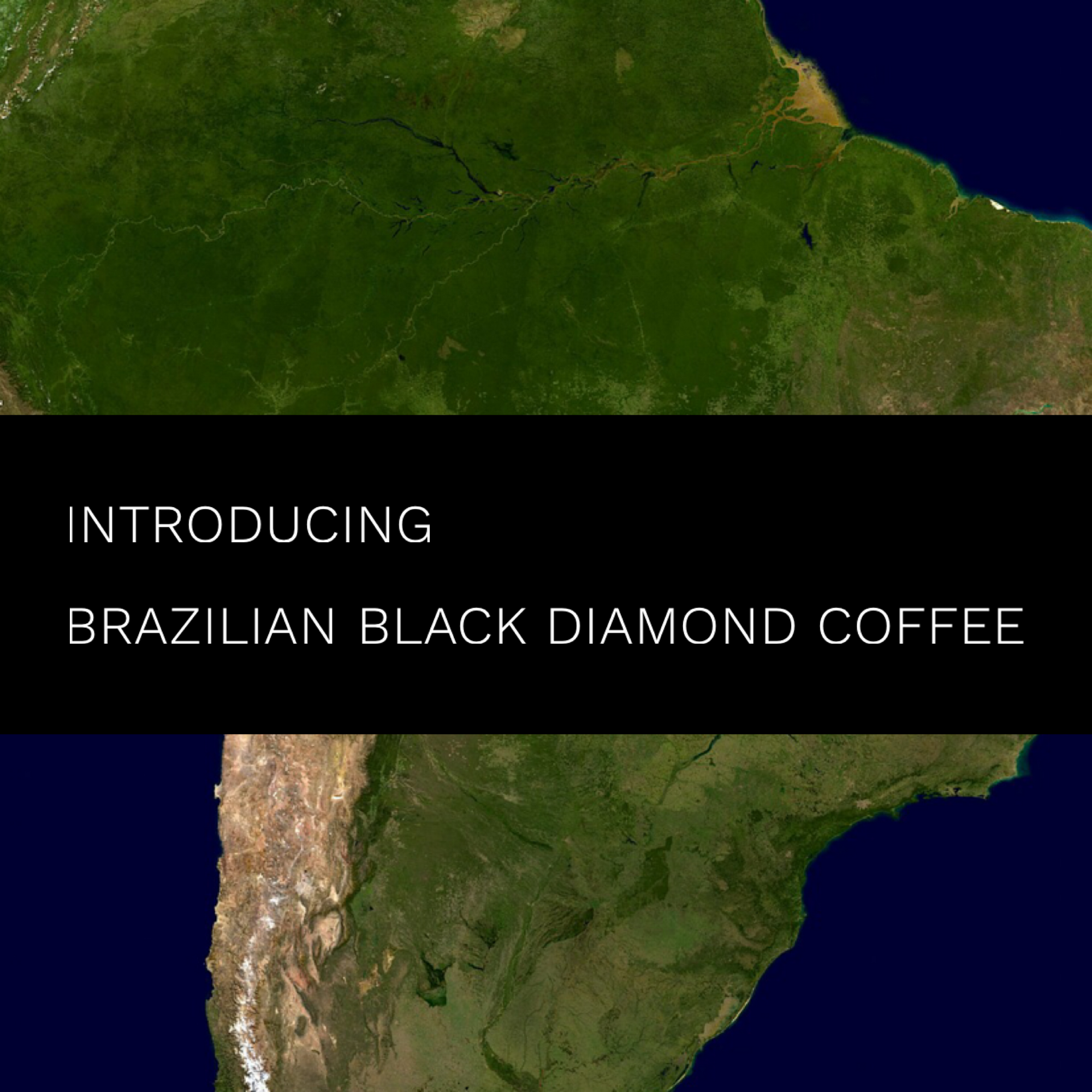 Brazilian Black Diamond Single Origin Coffee in Calgary