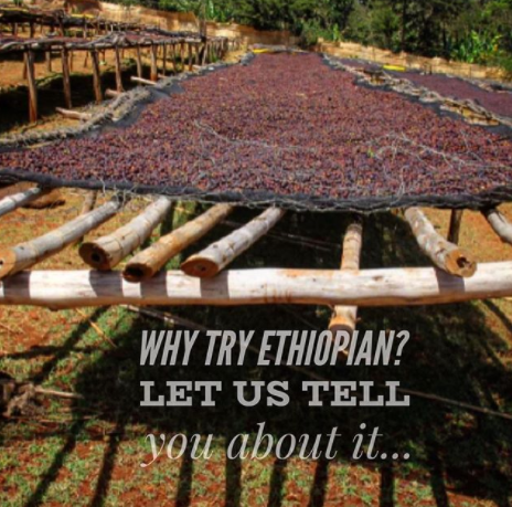 What is an Ethiopian Coffee Like?  And Why You Should Try It...